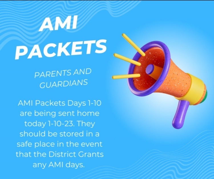Ami packets 